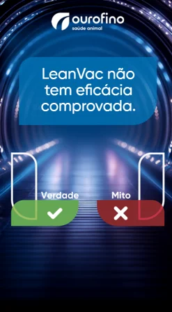 Verdadeiro ou falso personalizado com identidade visual personalizada