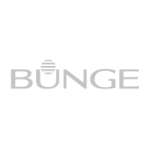 Logo Bunge, cliente atendido pela Custom Games
